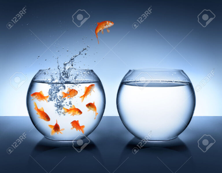 pesce-rosso