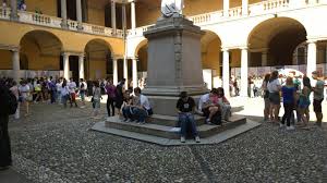 università